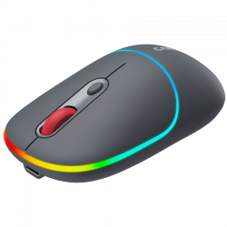 CANYON MW-22 2in1 Bluetooth i bežični miš, tamno sivi, optički, 1600 dpi