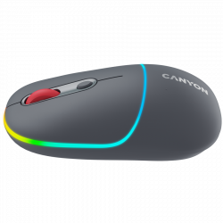 CANYON MW-22 2in1 Bluetooth i bežični miš, tamno sivi, optički, 1600 dpi