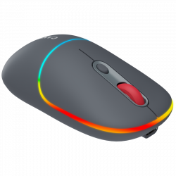 CANYON MW-22 2in1 Bluetooth i bežični miš, tamno sivi, optički, 1600 dpi