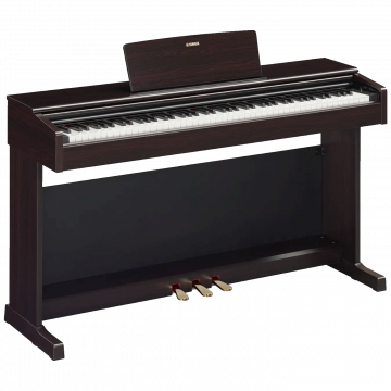 Yamaha Digitalni klavir, 88 tipki, 2 x 8W, 2 x 12 cm zvučnici - YDP-145R Arius