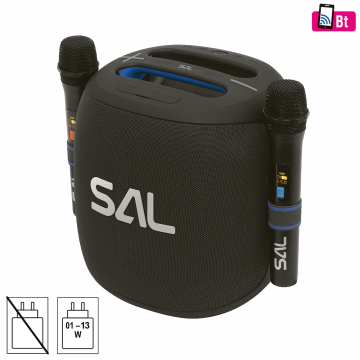 SAL Zvučnik bežični sa mikrofonom,Boombox,Bluetooth,100W,IPX5 - PARCUBE