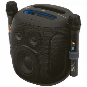 SAL Zvučnik bežični sa mikrofonom,Boombox,Bluetooth,100W,IPX5 - PARCUBE