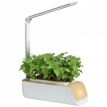 NN-Su Inteligentna lampa za rast biljaka, saksija - Vegetable Plant Growth Lamp
