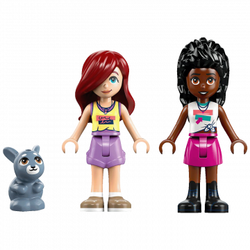Lego Kamion sa sladoledom u Heartlakeu, LEGO Friends
