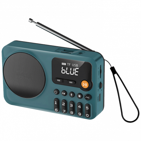 MeanIT Zvučnik bežični, FM radio, Bluetooth, USB, TF Card - B6
