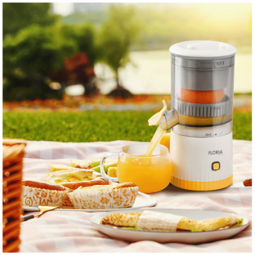 Floria Sokovnik, bežični, 600 ml., 800 mAh - ZLN4079