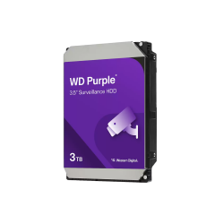 WESTERN DIGITAL 