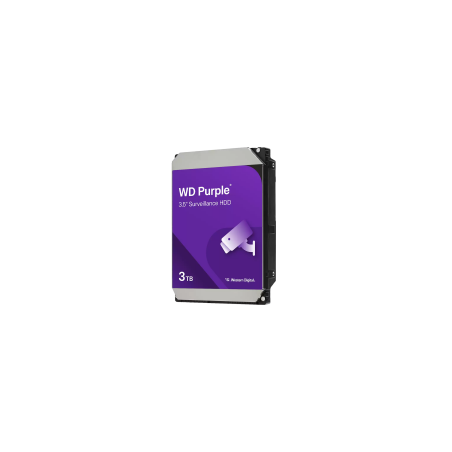 WESTERN DIGITAL 