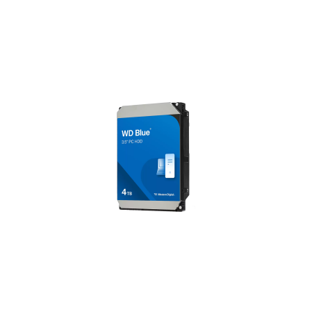 WESTERN DIGITAL 